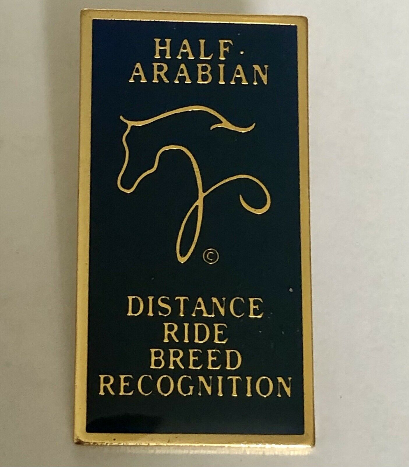 Half Arabian Horse Lapel Pin Distance Ride Breed Recognition Equestrian Pin A365