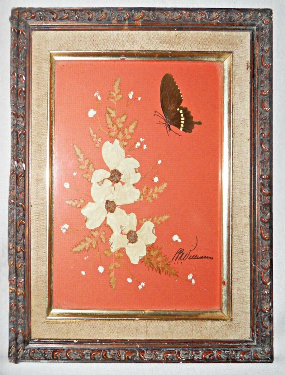 Botanical Vintage Antique Butterfly Flowers Collage Mounted Specimen Framed